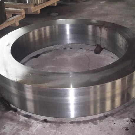 Stainless Steel Forgings